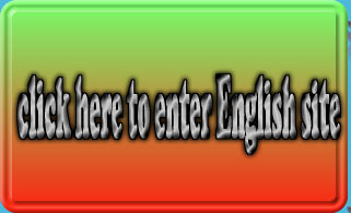 click here to enter English site